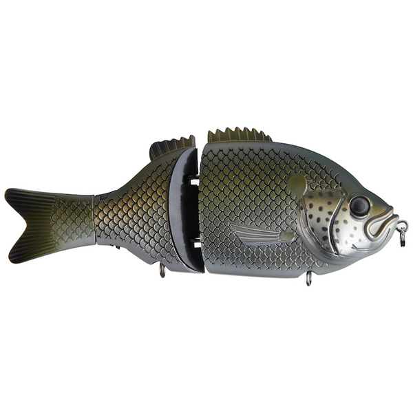 LEURRE SWIMBAIT BAITSANITY Explorer Gill 6" #Jupe Jungle  Perch
