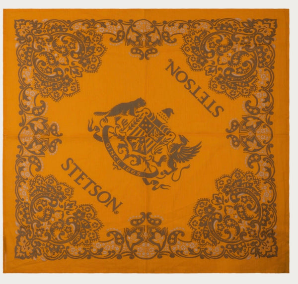 BANDANA STETSON JAUNE 95