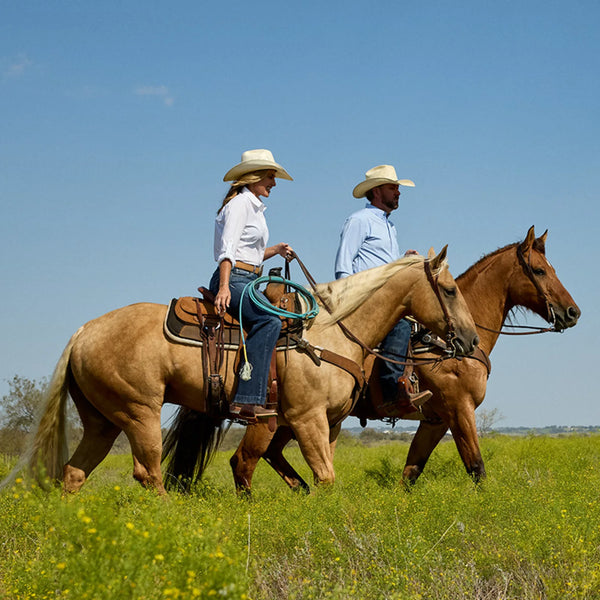 ARIAT