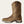 Bottes western waterproof femme ARIAT Anthem H20 - BRN
