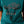 t shirt enfant western ARIAT Cattle Skull Freedom - Mediterranean