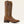 Bottes western femme waterproof femme ARIAT Cattle Caite Wide Square Toe - Distressed Brown