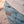 bermuda jeans WRANGLER JORT Dawn