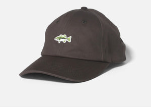 Casquette SALTY CREW FISHSTICKS DAD CAP - dusty olive
