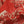 BANDANA STETSON ROUGE 87