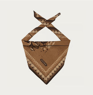 BANDANA STETSON LAST DROP - marron