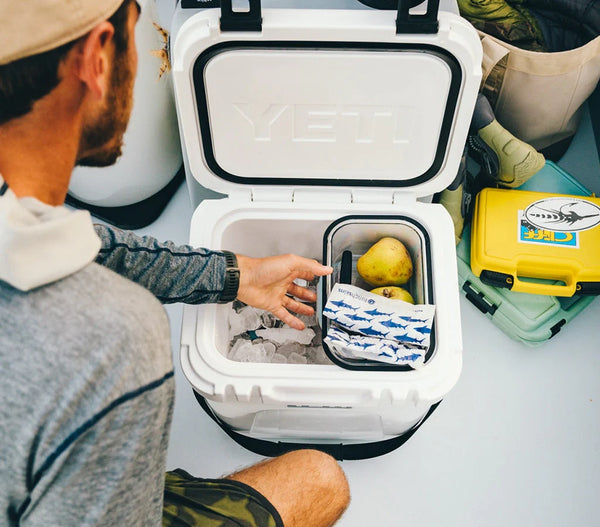 GLACIÈRE YETI Roadie 24L (KEY LIME)