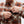 CHEMISE STANCE LOWELL  BUTTON UP