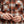 CHEMISE STANCE LOWELL  BUTTON UP
