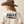 T-Shirt femme ARIAT BULL HORNS - natural