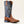 BOTTES HOMMES ARIAT Captivate Wide Square Toe Western - red oak / deep blue