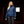 Veste femme ARIAT Stable 2.0 Insulated - Navy