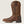 Bottes western ARIAT Hybrid Rancher venttek 360 TN/TRFL