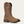 BOTTES HOMMES ARIAT HYBRID patriot H2O