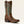 Bottes femme western ARIAT Beaumont K Toe Western