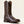 BOTTES HOMMES ARIAT SPORTS HERDSMAN LARGEUR EE