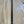 CANNE EVERGREEN HERACLES 