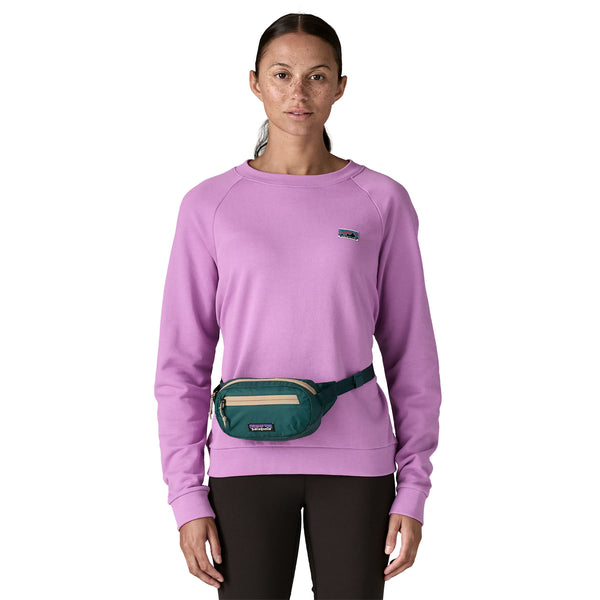 Sac Banane PATAGONIA Terravia Mini Hip 1L (CASG)