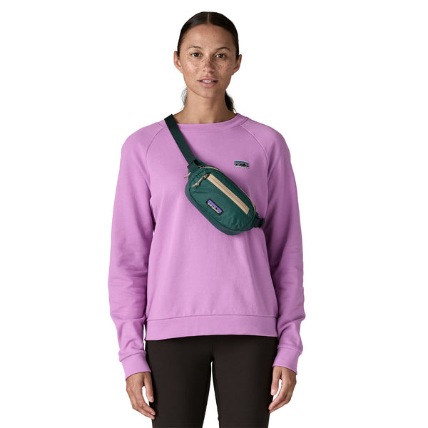 Sac Banane PATAGONIA Terravia Mini Hip 1L (CASG)