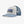 Casquette PATAGONIA P-6 Logo Trucker Hat (WLGY)